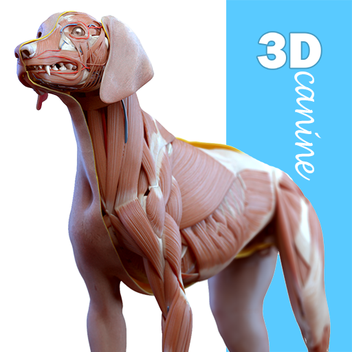 Complete Canine 3D – anatomy 1.73 (Premium Unlocked)
